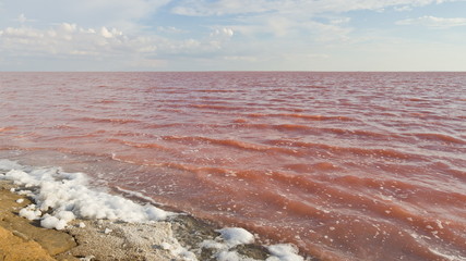 Salt lake with natural pink water color - 212259194
