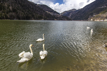 Lake Alleghe. Morning at Lake Alleghe, Dolomities, Italy. UNESCO World Natural Heritage, Belluno,...