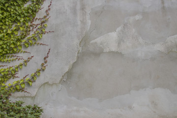 Wine on an stone wall texture