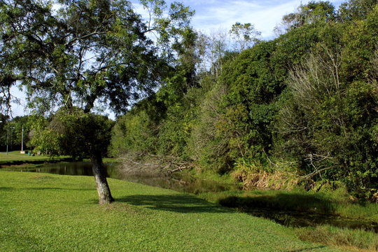 parque verde