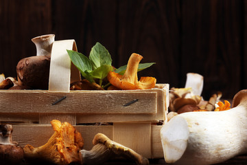 variety of raw mushrooms on wooden table. oyster and other fresh mushrooms.