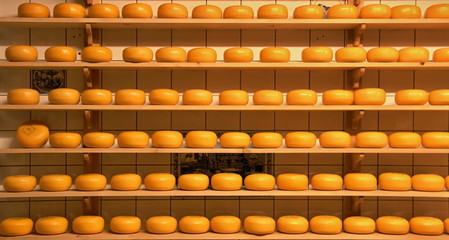 Production of cheese