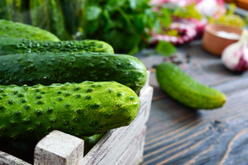 Pickles. Fresh harvest of cucumbers in a wooden box, spices, herbs on a table. Preparation of cucumbers for pickles. Close-up. Selective focus.