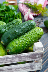 Pickles. Fresh harvest of cucumbers in a wooden box, spices, herbs on a table. Preparation of cucumbers for pickles. Close-up. Selective focus.