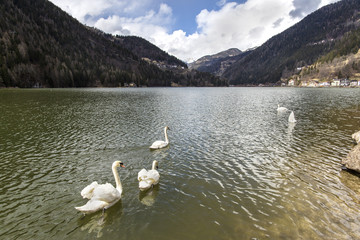 Lake Alleghe. Morning at Lake Alleghe, Dolomities, Italy. UNESCO World Natural Heritage, Belluno,...