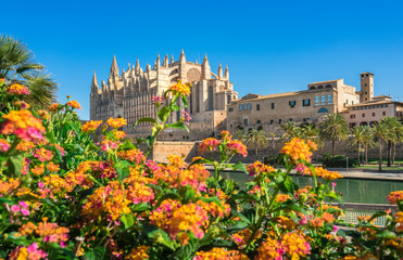 Beautiful view of Cathedral La Seu at the old historic city center of Palma de Majorca