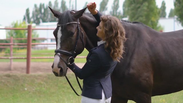a young girl jockey is standing next to a brown racehorse in a harness and gently stroking her. the girl takes the horse on her head. . juicy selenium grass in the background. HD slow motion