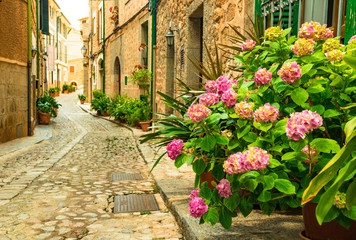 Blumen Strasse im Dorf Fornalutx, schönes altes Bergdorf, Mallorca Spanien