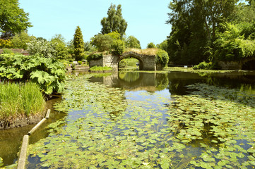 River Avon in Warwickshire