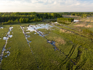 Flooded forest fields