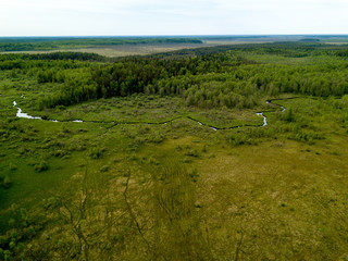 Natural forest fields