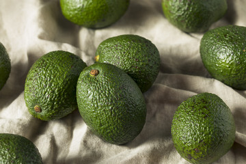 Raw Green Organic Unripe Avocados