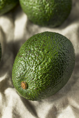 Raw Green Organic Unripe Avocados
