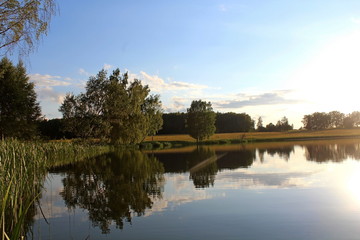 Fototapeta na wymiar Magnificent summer nature on a pond in July. Trees, field and pond in the rays of the setting sun.