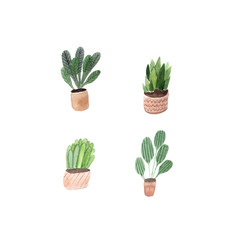 Green pot plants.