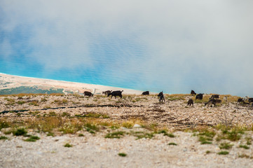 ionian mediterranean sea coast landscape of Southern Albania view from top of Llogora mountain national park