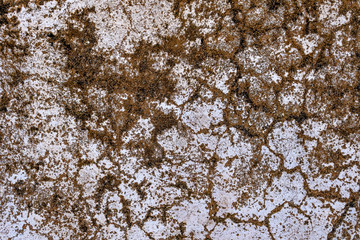 impaired white paint texture