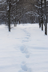 Human footprints in the snow-covered forest
