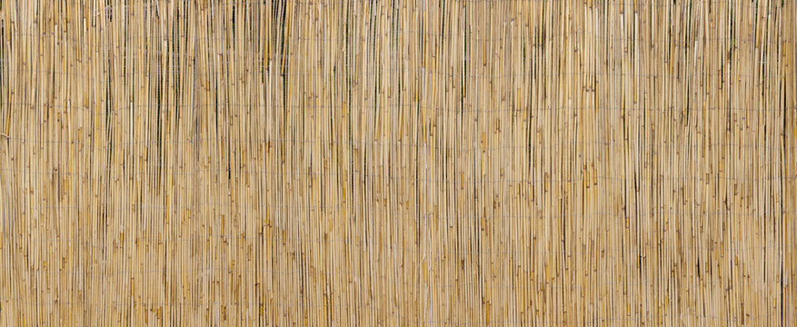 Rustikale Schilffassade