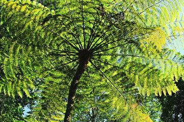 Obraz premium Sao Paulo - Brasil