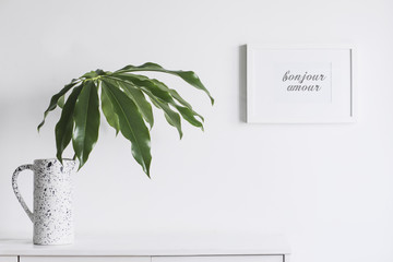 Minimalistic concept of white home interior whit copy space and tropical leaf. Scandinavian white cupboard concept.