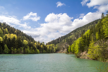 Zaovine lake in Serbia, during a sunny afternoon with a blue water and a green forest made of pine trees. It is part of the Tara mountain and national park.