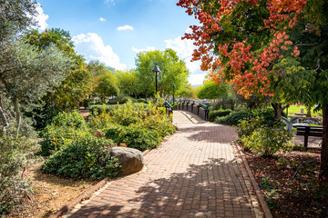 Beautiful park on sunny day 