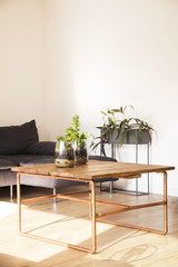 Close up of stylish interior with wooden table, glass jar and design sofa. Modern home space.