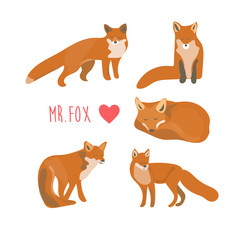 Fototapeta na wymiar cute fox collection card. children book element. sleeping animal, wildlife, forest, wood. beautiful baby fox.