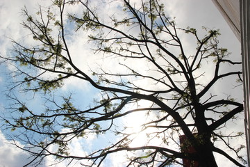 Fototapeta na wymiar sao paulo brasil