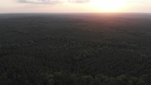 Drone shot descending into the forest of north Louisiana in the evening with the sun setting in the distance