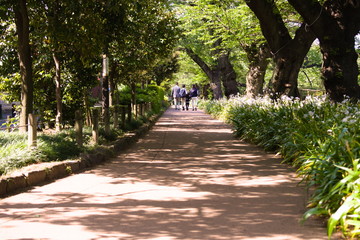 Fototapeta premium tokyo