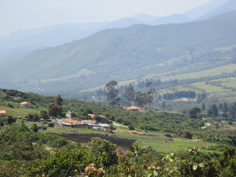 Paramo la culata Merida Venezuela