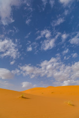 Fototapeta na wymiar Sand Dunes in the Sahara Desert in Morocco