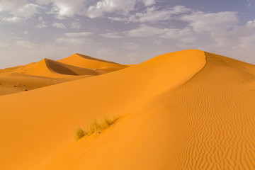 Sand Dunes in the Sahara Desert in Morocco