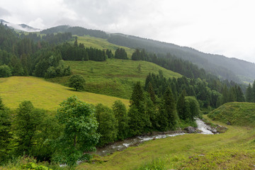 Kleiner Bach der sich durch saftige Almwiesen schl&auml;ngelt