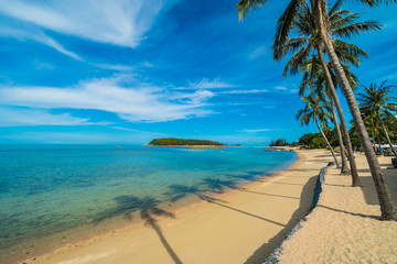 Fototapeta na wymiar Beautiful tropical beach sea and sand with coconut palm tree on blue sky and white cloud