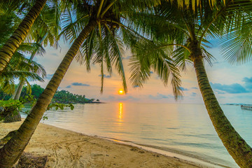Beautiful paradise island with beach and sea around coconut palm tree