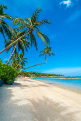 Naklejka na ściany i meble Beautiful tropical beach sea and sand with coconut palm tree on blue sky and white cloud