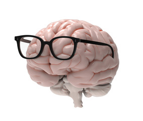 3D brain and glasses illustration
