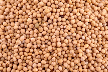 Yellow indian mustard seeds (Brassica alba Boiss)  background, copy space. Healthy nutrition, cosmetics, herbal medicine concept. Food texture. Top view, flat lay. Mustard pattern
