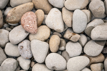 large sea stones on the beach