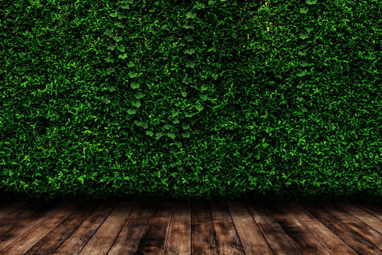 Green leaves natural wall with wood floor. © ParinPIX