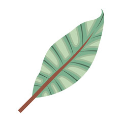 leaf plant ecology icon vector illustration design