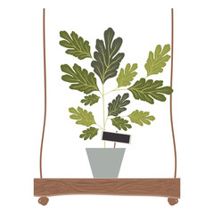 houseplant in swing decorative icon vector illustration design