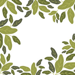 leafs plant ecology frame vector illustration design
