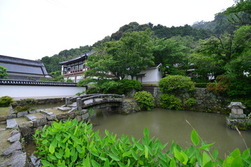 日本の奈良のあじさいの矢田寺