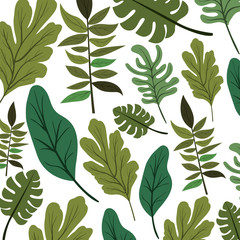 leafs plant ecology pattern vector illustration design
