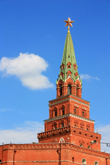 Fototapeta na wymiar Tower of the Moscow Kremlin