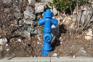 Metal blue fire hydrant surrounded with dried branches, fallen leaves and large rocks on cold sunny...